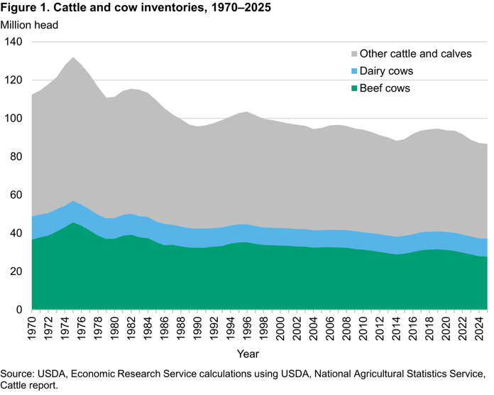 USDA chart showing U.S. cattle and cow inventory declining to near 70-year lows, driving Tyson Foods beef plant closures and restructuring