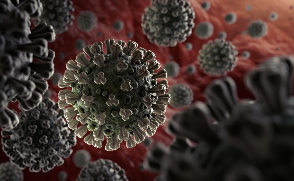 WHO coronavirus COVID-19 global health emergency as pandemic spreads across multiple countries