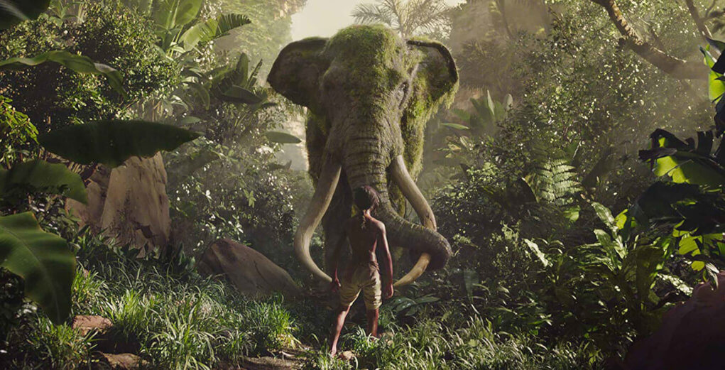 A Quest for Identity and Self with Mowgli