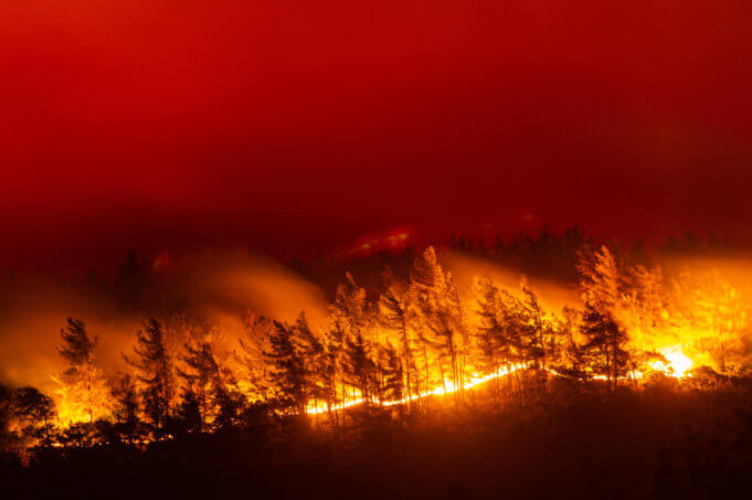 Forest fires.. Fire is raging in Greece and rain eases its impact in Turkey