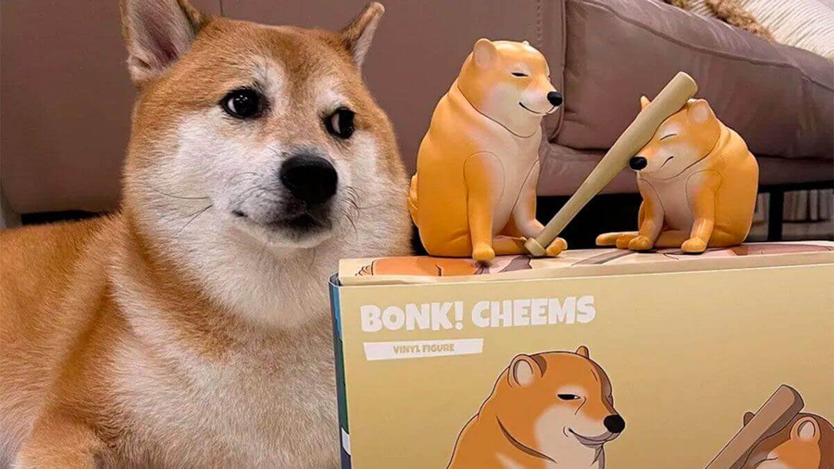 Cheems, the dog of memes