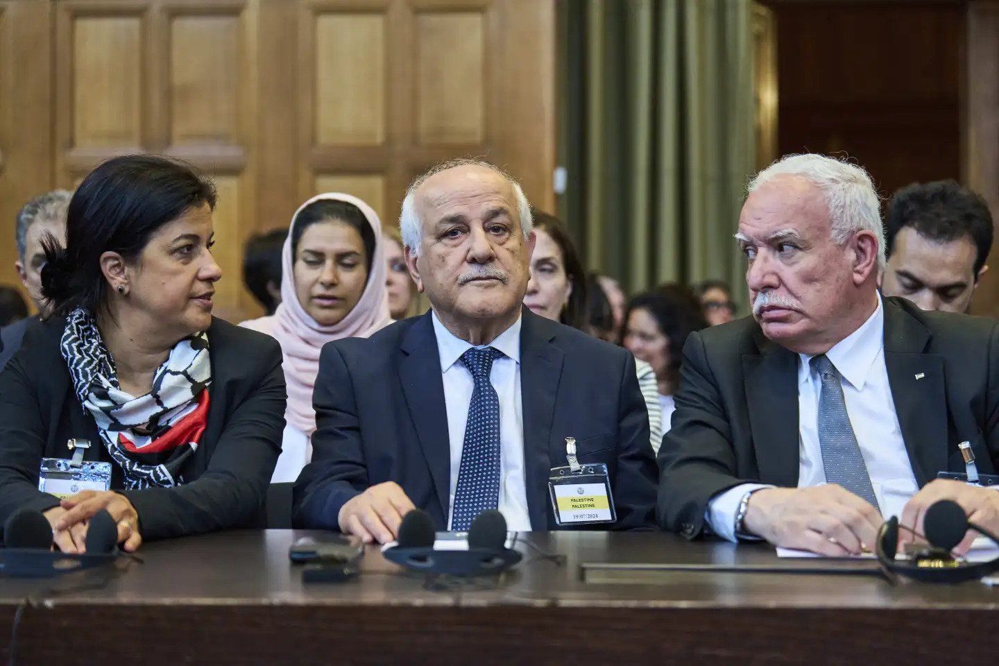 riad-malki-israel-occupation-icj-hague-palestine