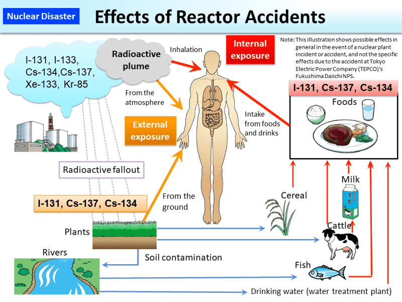 Effects of Reactor Accident Infographic