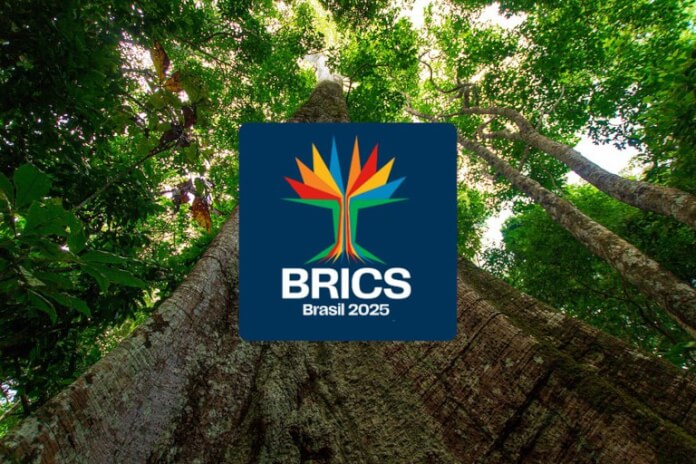 BRICS presidency 2025 Brazil reveals sumaúma tree logo