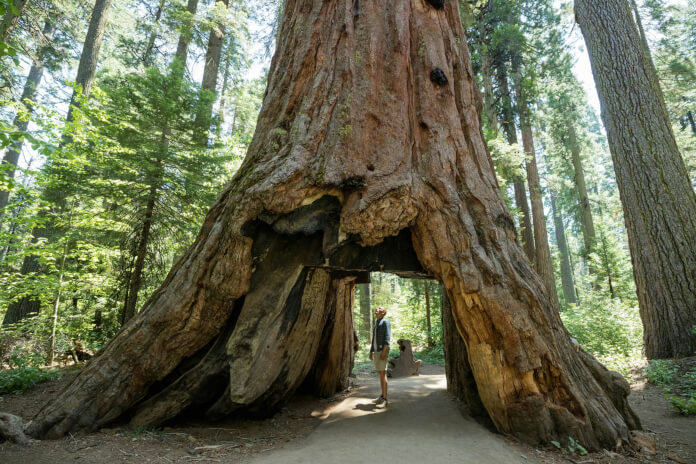 Sequoia National Park
