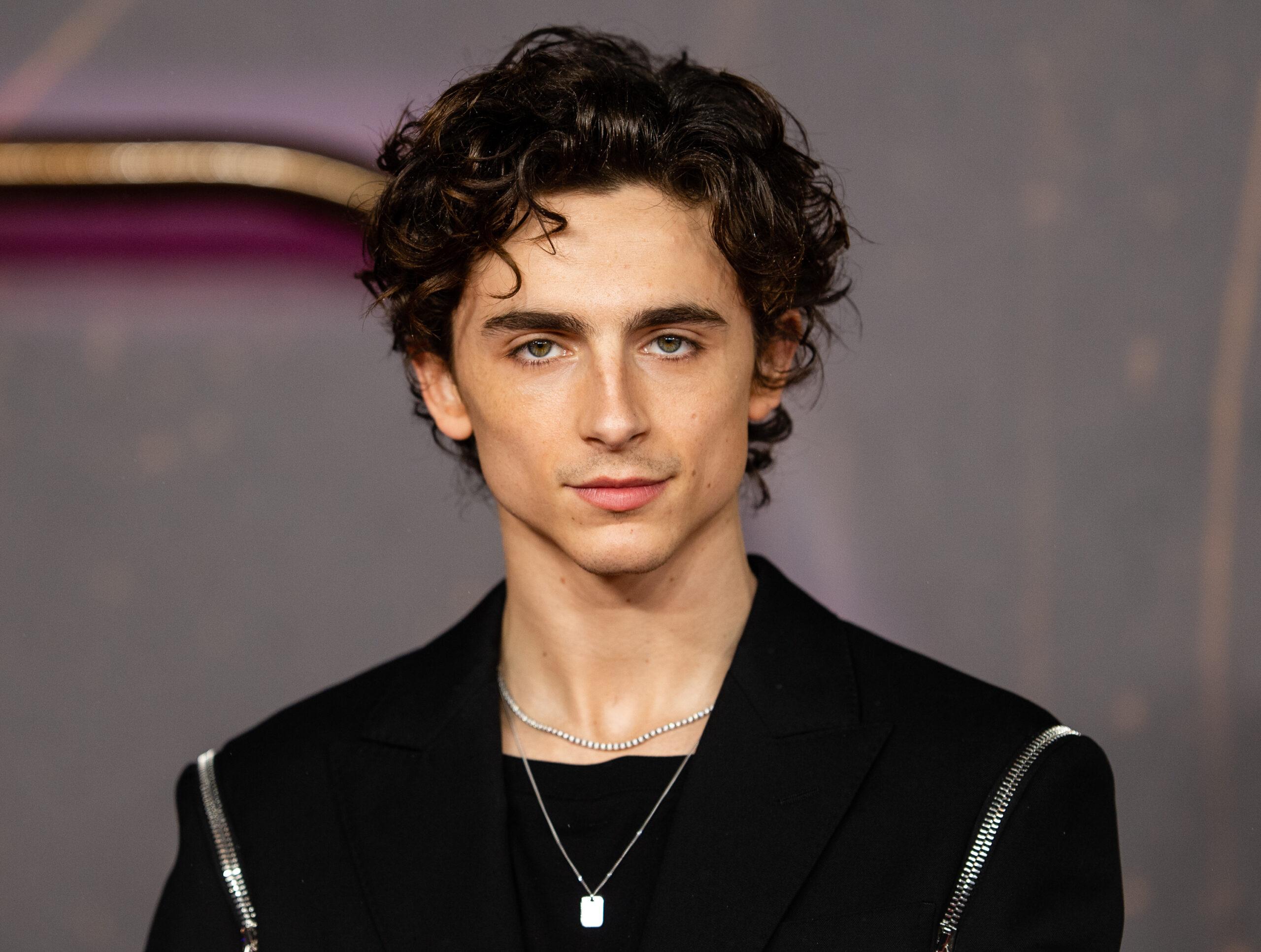 Timothée Chalamet, Oscar Awards 2025, Best Actor, Oscar 2025, Bob Dylan, A complete Unknown