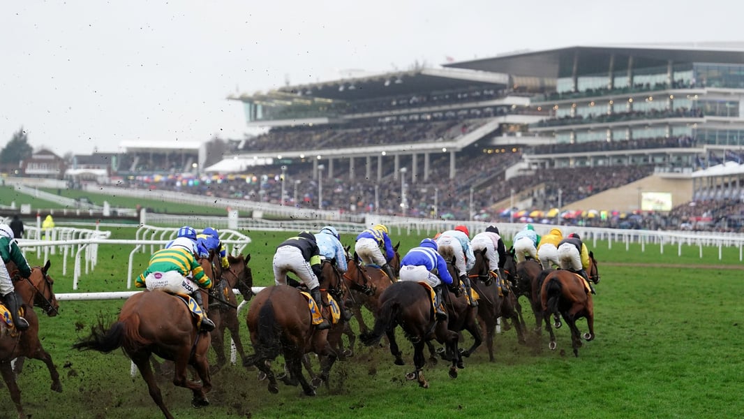 Americans, Hourse Racing, Cheltenham Festival