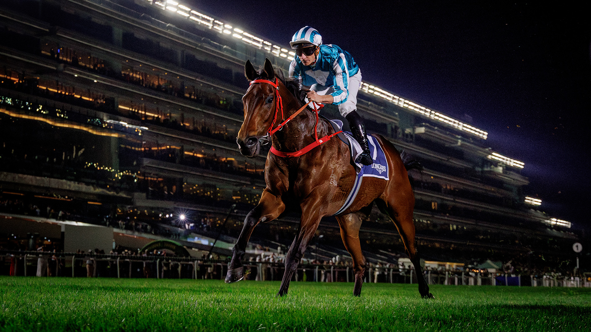 Romantic Warrior, Riyadh, Horse Racing, Casino News, Gambling News, Sports Betting, Saudi Arabia, KSA