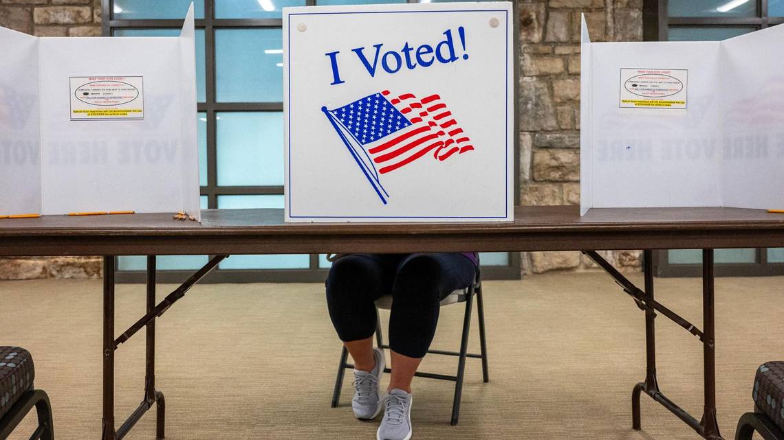 Election, Arrests, Voting, Non-citizen, Ukraine