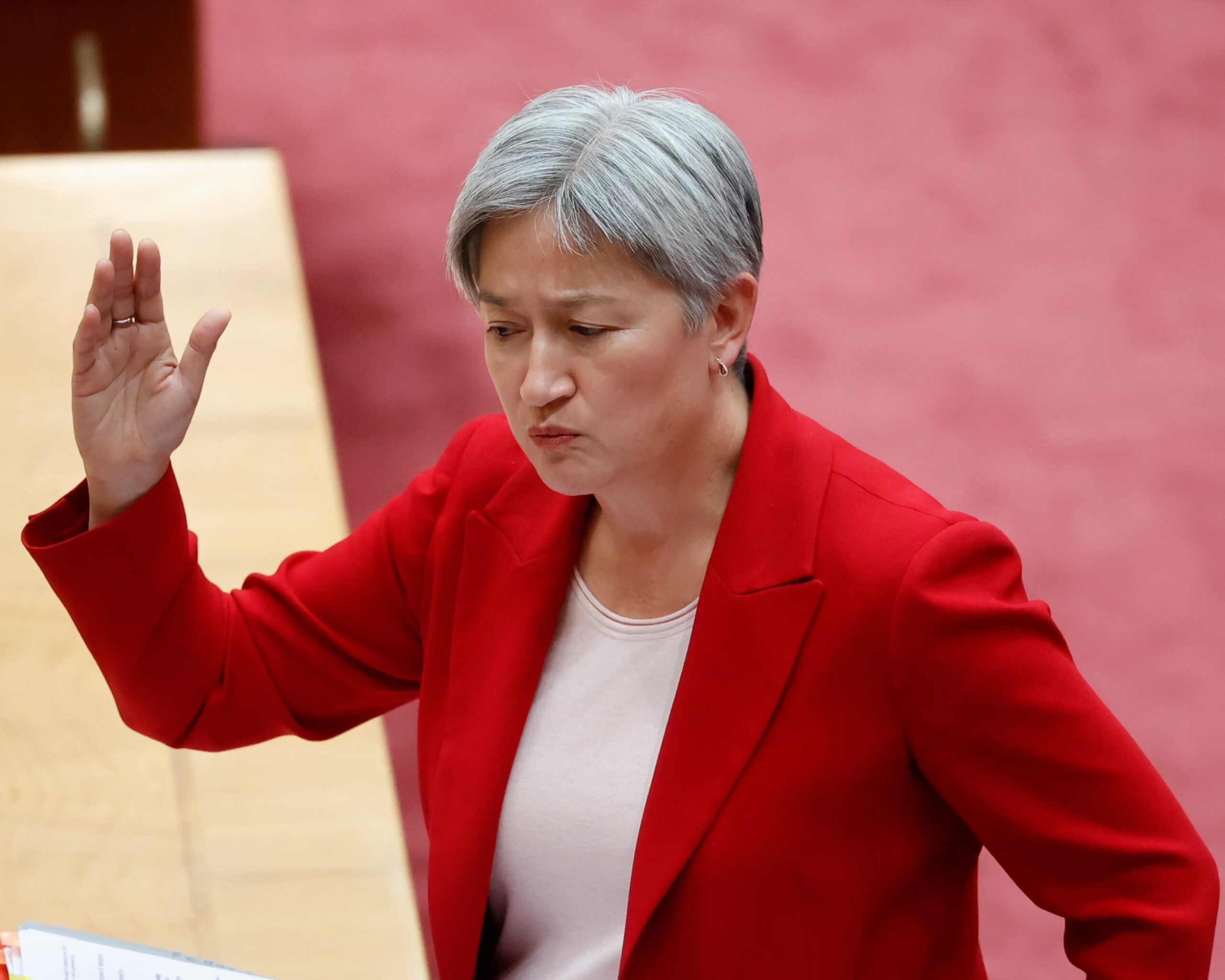 Penny Wong condemns Israel’s Gaza occupation plan.