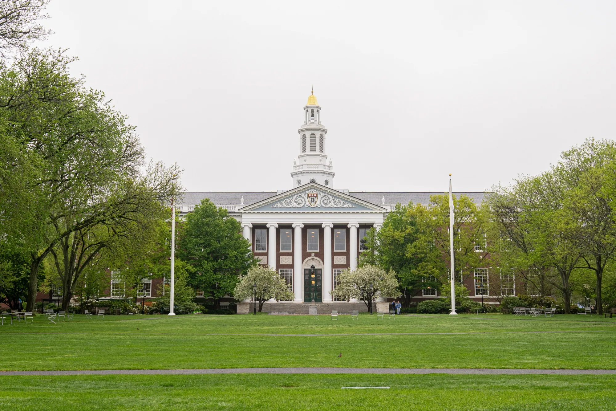 Harvard funding freeze, research labs, graduate students, U.S. innovation