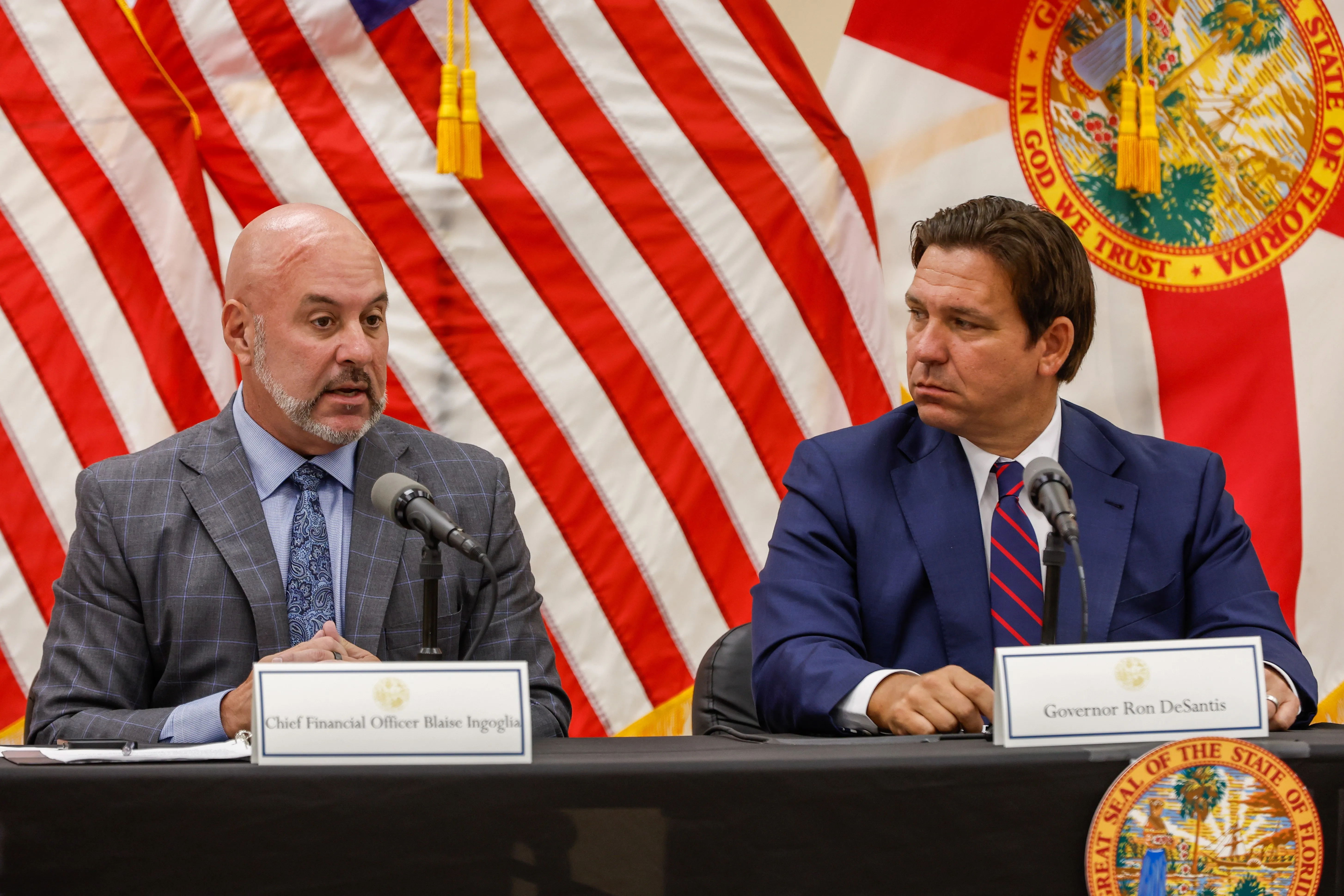 Ron DeSantis DOGE blueprint Florida government efficiency reform