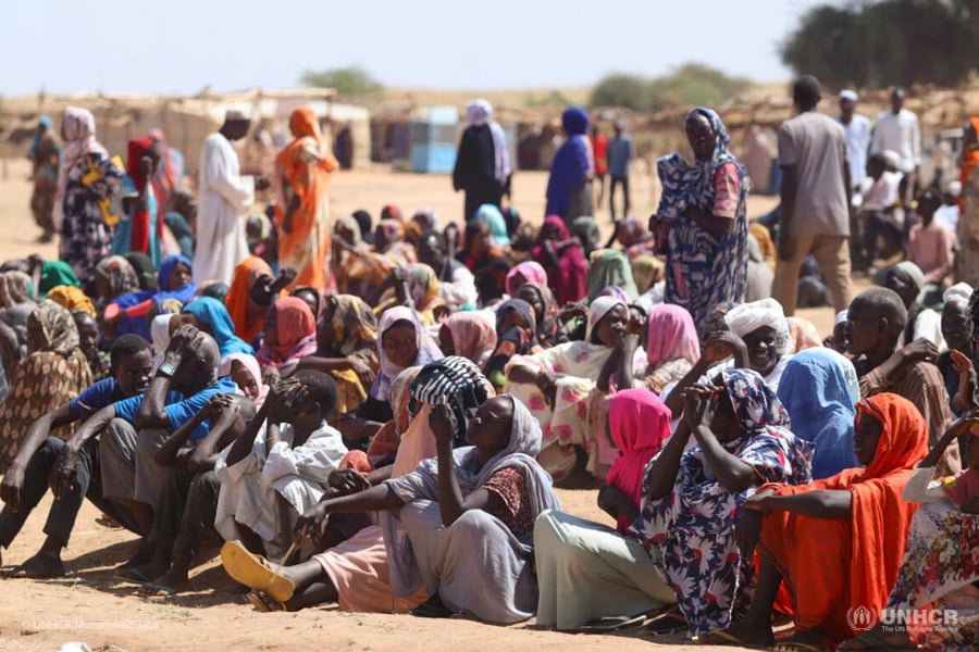 Displaced families from El Fasher shelter in a makeshift camp in Darfur
