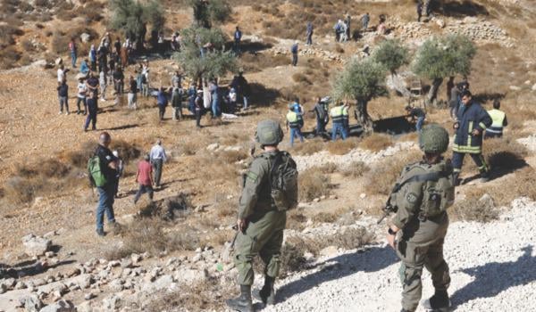 Palestinian farmers harvesting olives amid settler violence in West Bank 2025