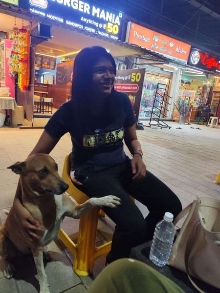 "A Plea for Compassion: Embracing Our Responsibility Towards Dogs"