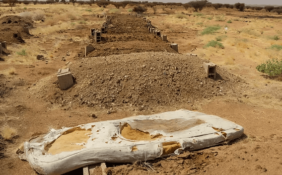 RSF Genocide in El Fasher: Mass Graves Exposed Yale evidence RSF mass killings graves El Fasher Sudan Darfur genocide 2025