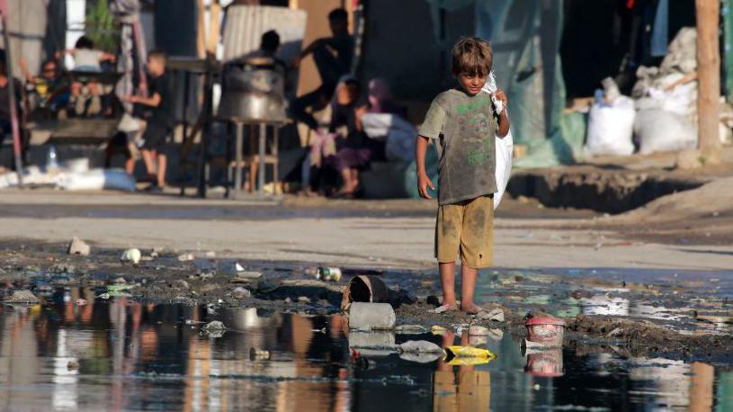 Environmental collapse in Gaza as sewage contaminates residential areas