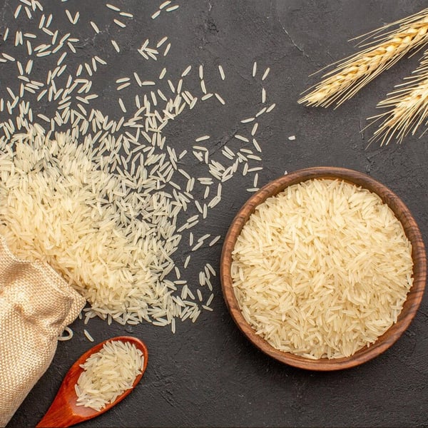 Karan A. Chanana: The Global Visionary Redefining the Food Industry
