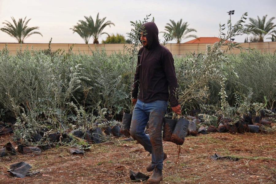 Palestinian farmer working near Gaza border amid security tensions