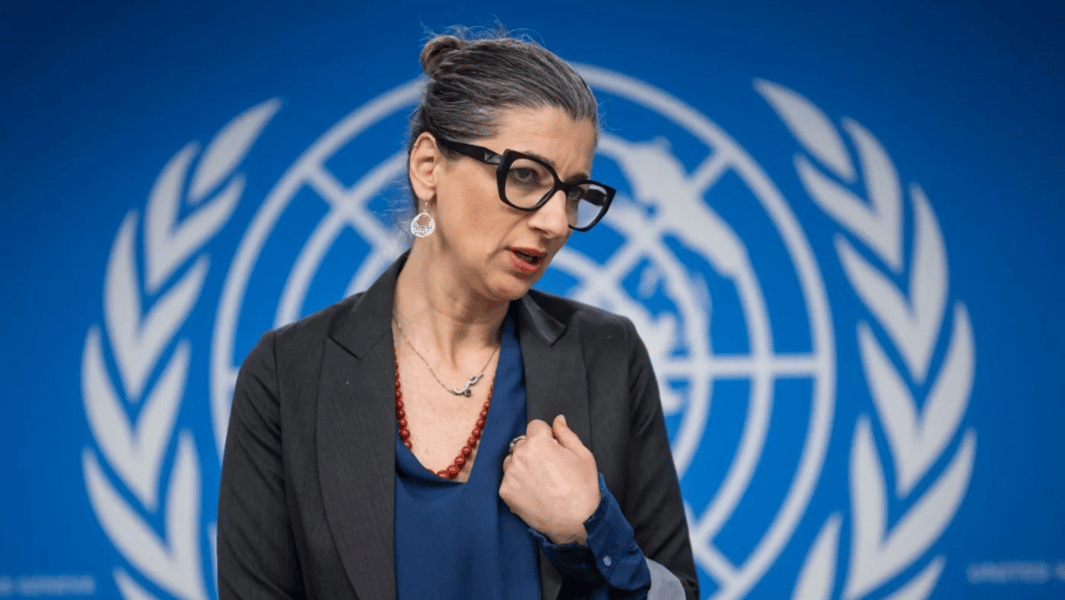 UN Human Rights Council discussing Gaza genocide and torture allegations