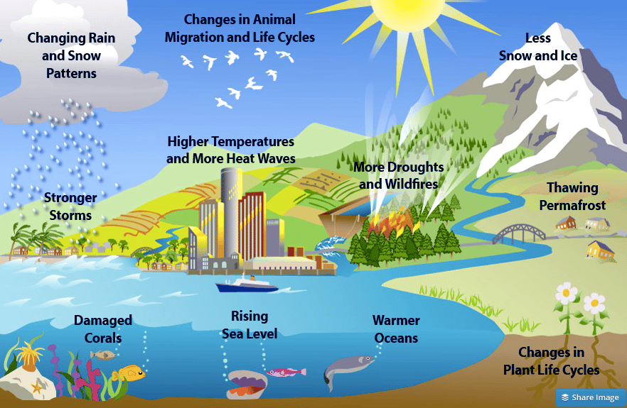 Timeline showing longer allergy seasons due to climate change from 1970 to 2026