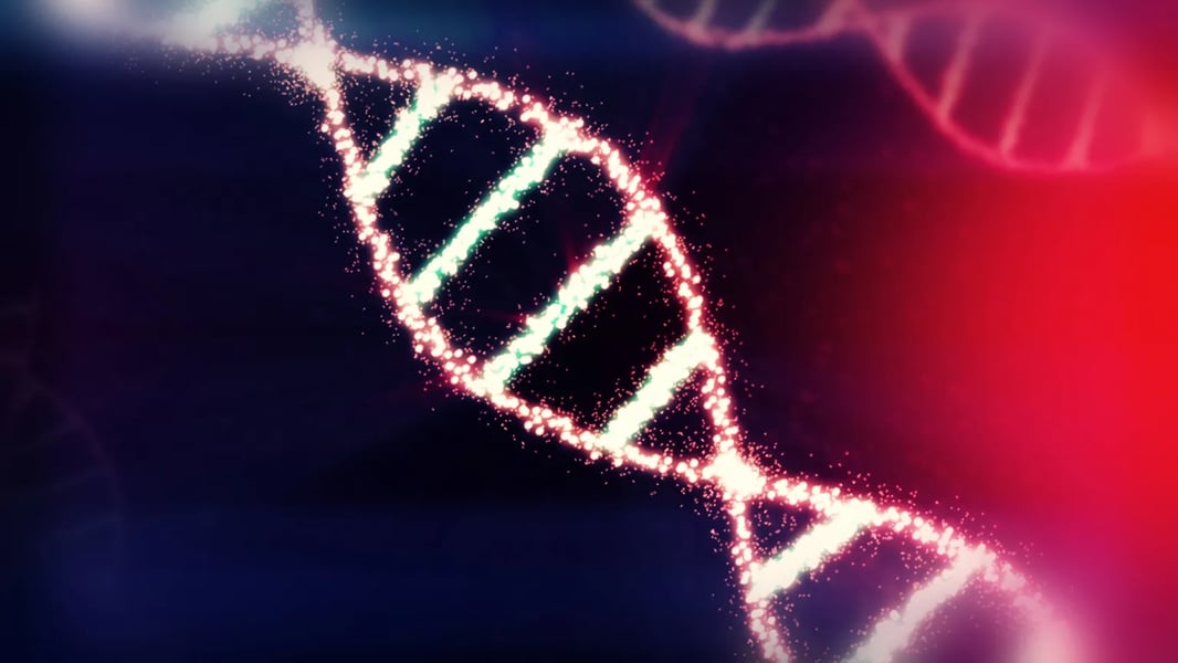 Ancient DNA study reveals accelerated human evolution over 10000 years
