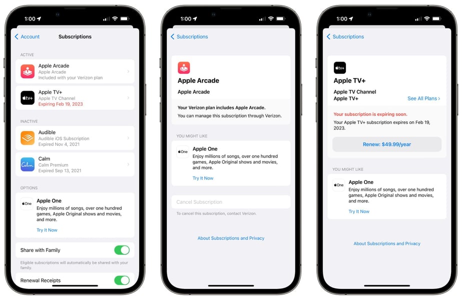 Apple Subscription Payment Experience iPhone subscription payment screen showing monthly billing commitment