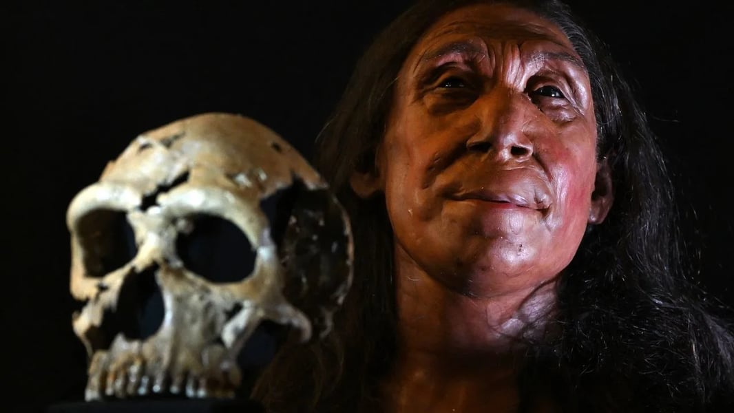 Reconstruction of a Neanderthal family based on 100,000-year-old DNA evidence from Stajnia Cave Poland