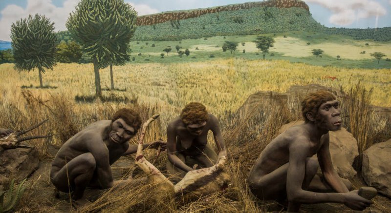 Early humans breaking bones for marrow extraction near a scavenged carcass in prehistoric Africa