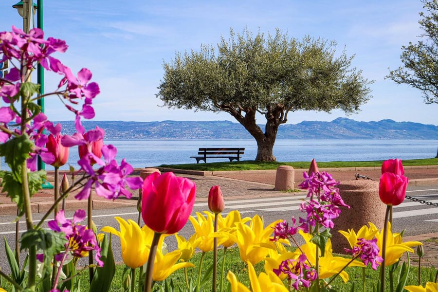 Aerial view of Evian-les-Bains on the shore of Lake Geneva, host city of the G7 summit in June 2026