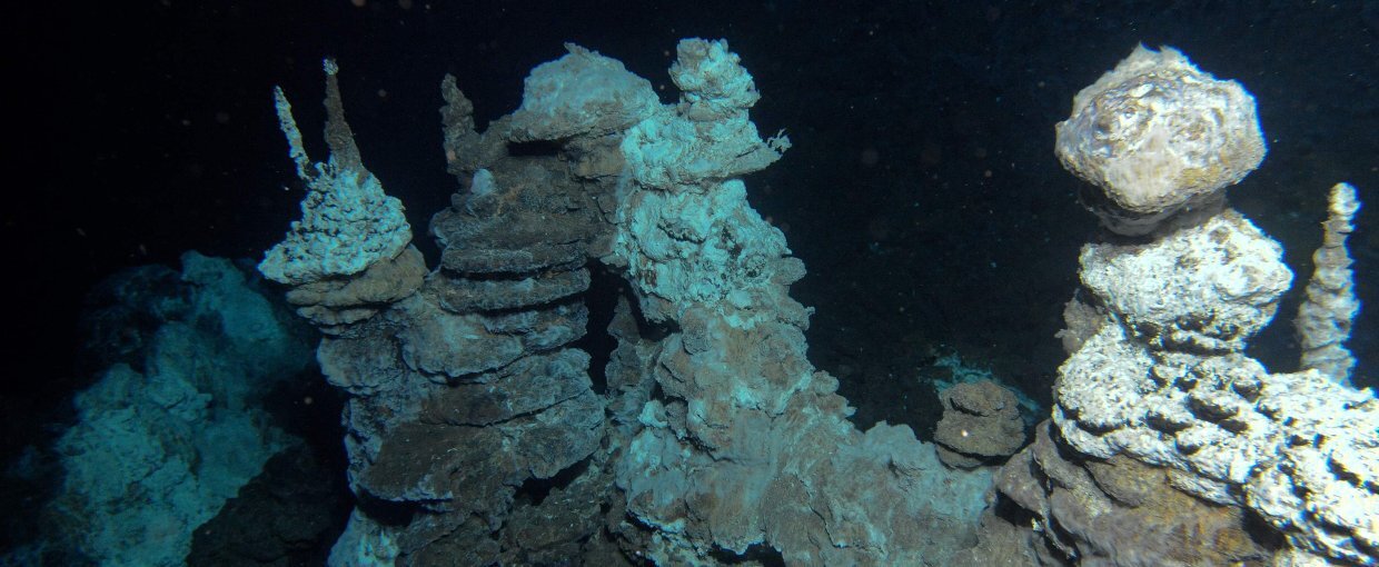 Loki's Castle deep-sea hydrothermal vent on the Arctic Mid-Ocean Ridge where the first Asgard archaea genomes were recovered