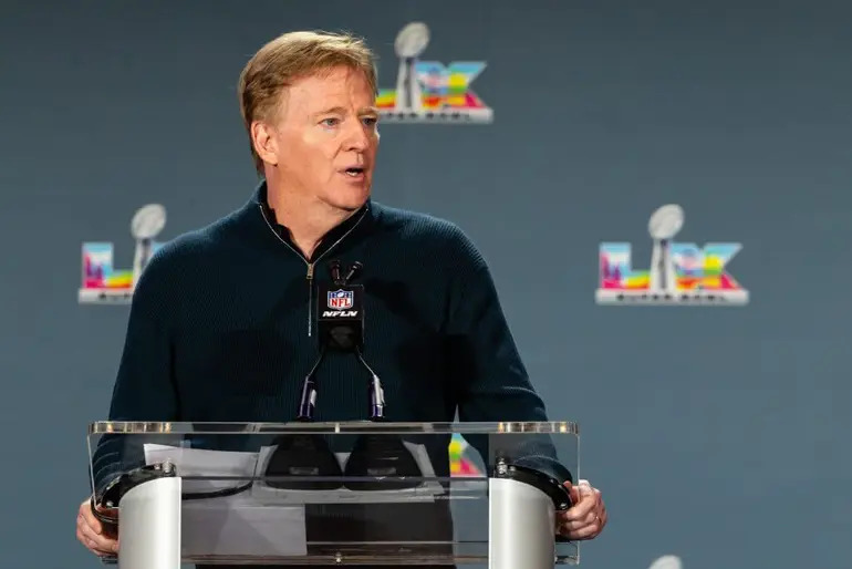 Roger Goodell addresses NFL owners during growing Rooney Rule investigation