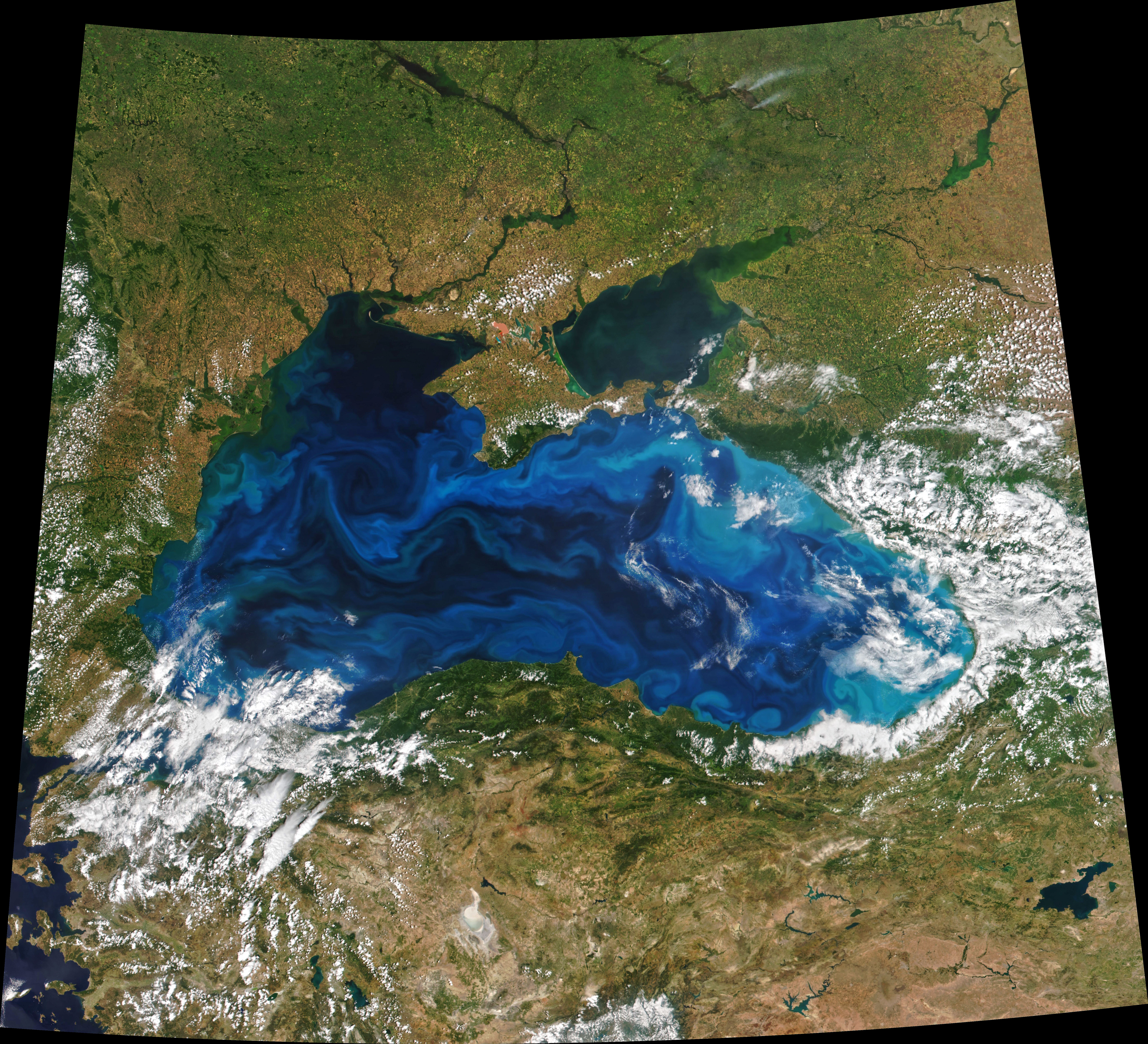 NASA Suomi NPP and NOAA-20 VIIRS satellite image of Black Sea phytoplankton bloom June 20 2022 with Crimea Russia Ukraine Turkey coastlines