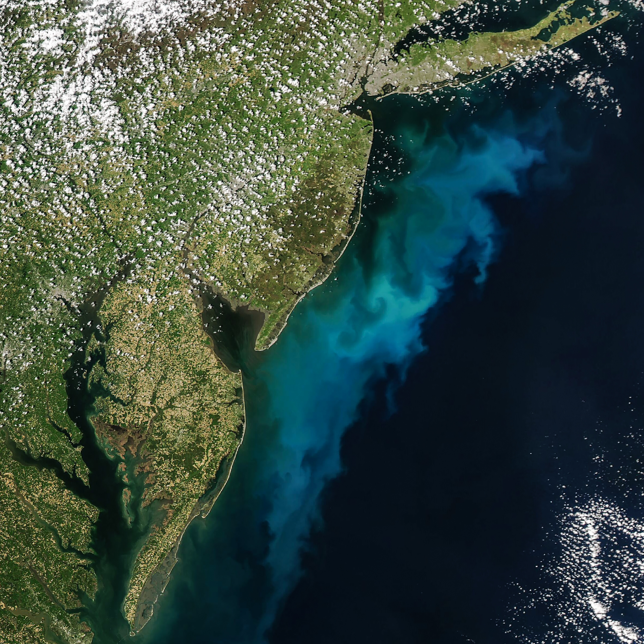 NASA Aqua MODIS satellite image of phytoplankton bloom off Mid-Atlantic coast Delaware New Jersey Maryland Virginia May 3 2026