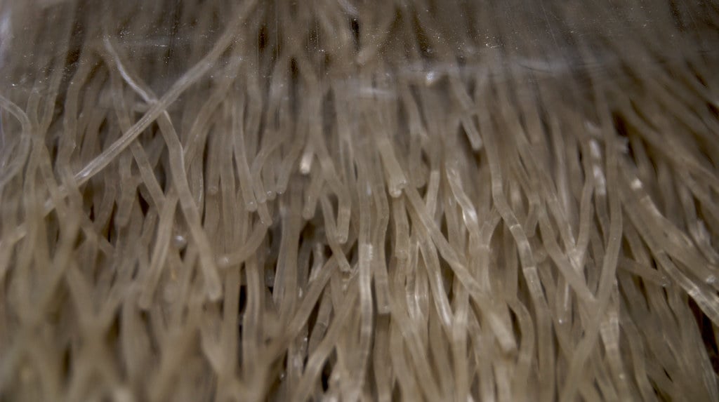 Fibre-optic cabling, illustrating Bell's migration to a fibre network