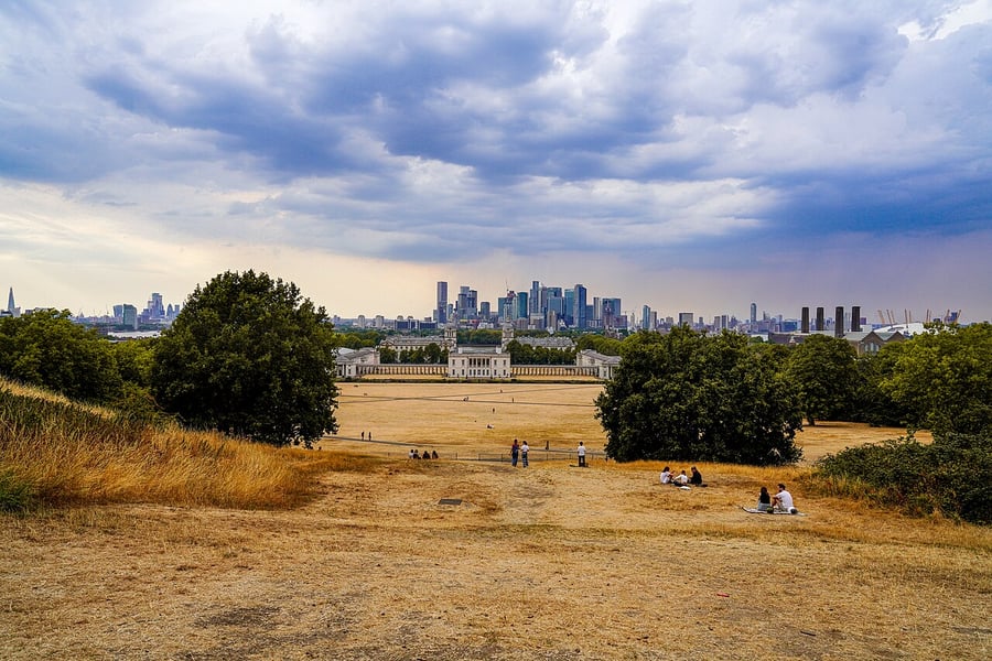 Scorched brown grass in Greenwich Park, London, during the 2022 UK heatwave