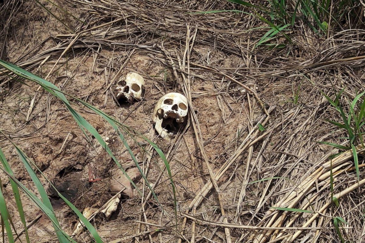 A view of the Kasai-central province of the Democratic Republic of the Congo