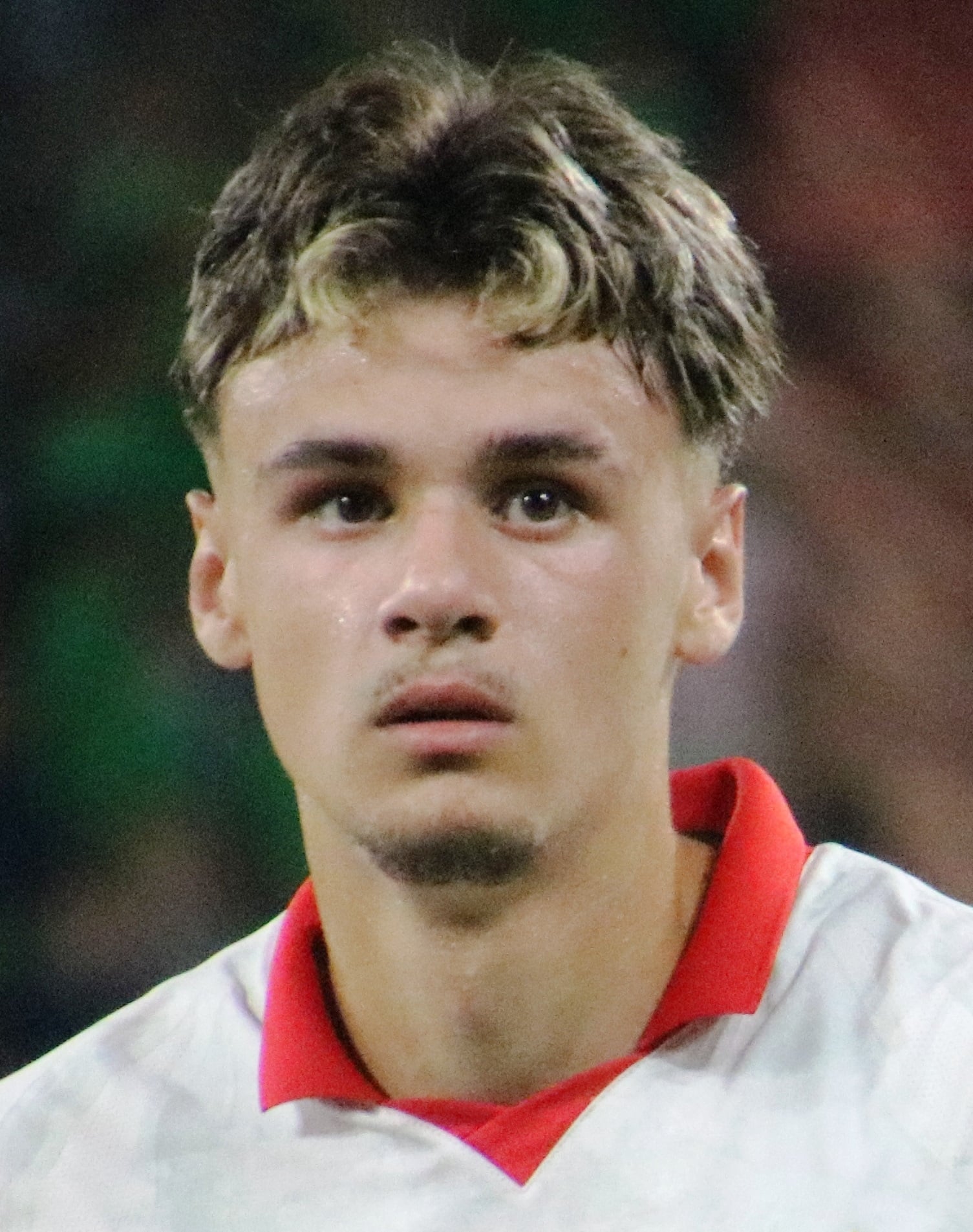 Kerim Alajbegovic Bosnia Herzegovina footballer