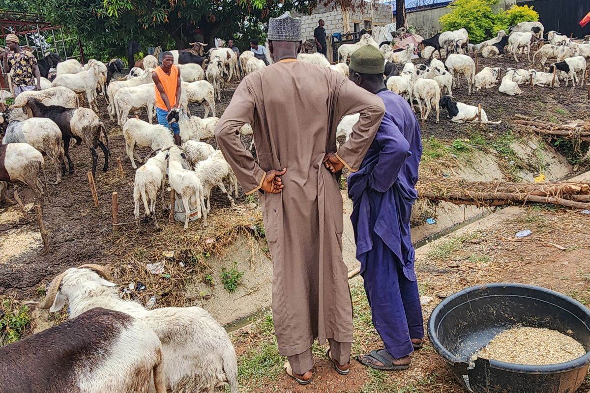 Shoppers at an open-air livestock market in Abuja, Nigeria, amid a rising cost of living