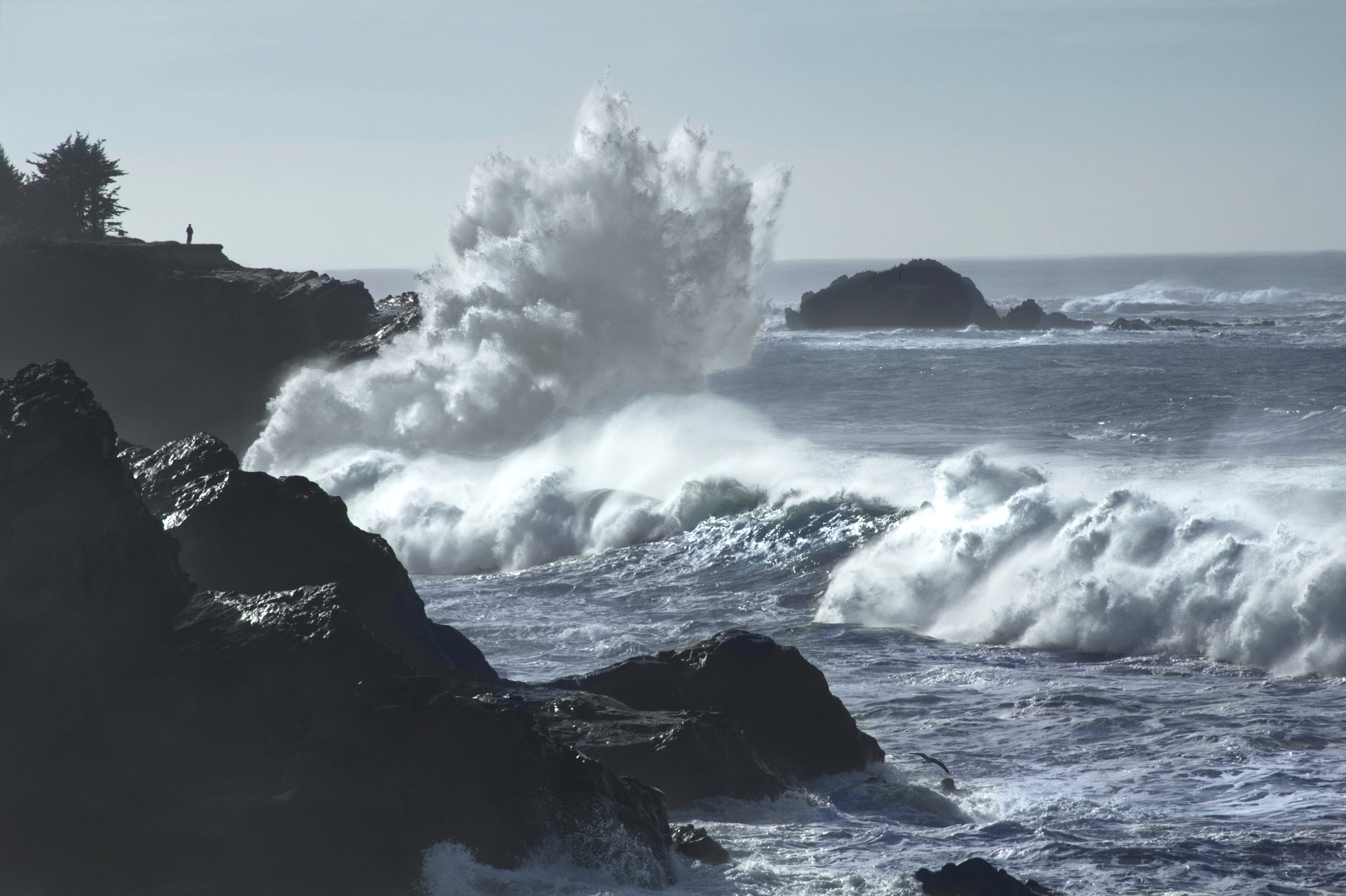 Huge Pacific waves crash against the rocky shore at Shore Acres on the Oregon coast, the kind of surf El Nino winters drive into the US West Coast