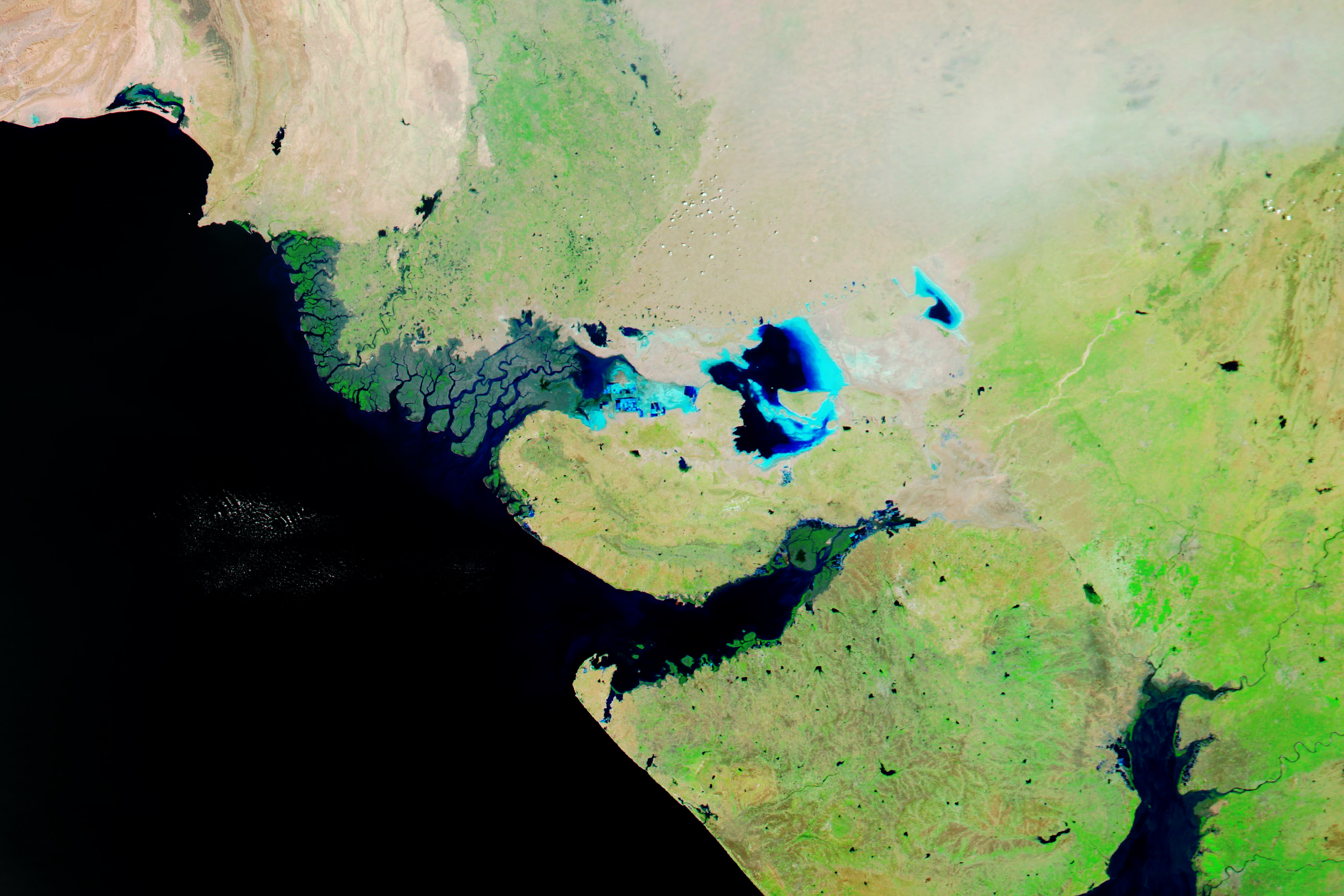 NASA MODIS satellite image of the Rann of Kutch in Gujarat India during the dry season showing the white salt desert extending across northwestern Gujarat state