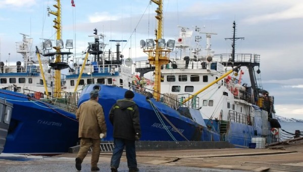 Russian fishing vessels docked at Kirkenes port in Norway, one of the last EU-adjacent ports still open to Russian cod trawlers under current sanctions