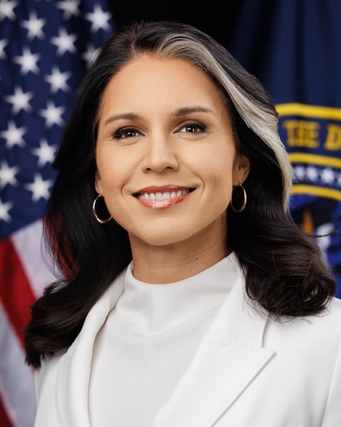 Tulsi Gabbard, the outgoing US Director of National Intelligence, in her official portrait