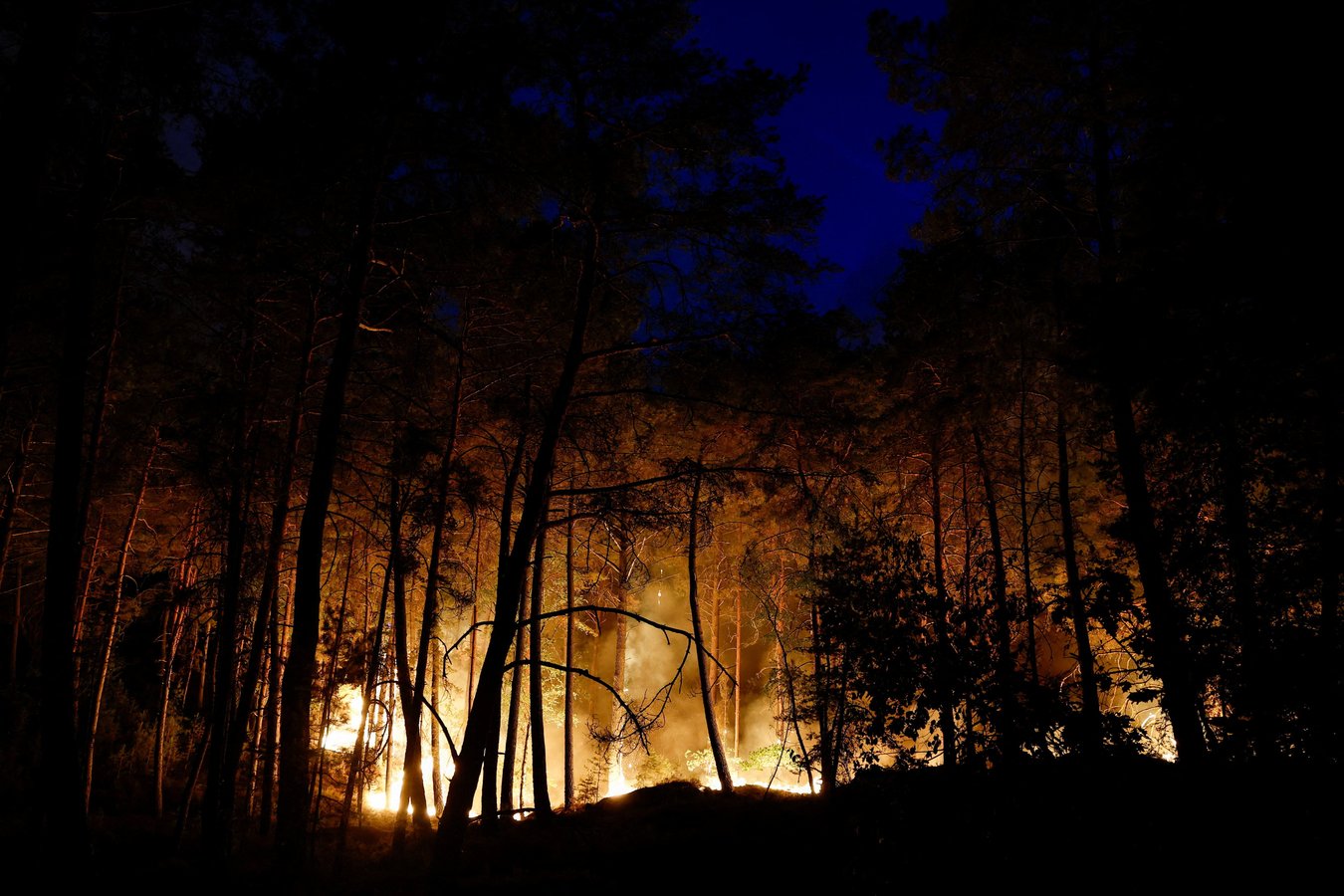 Firefighters and emergency vehicles at the Fontainebleau forest wildfire site near Paris