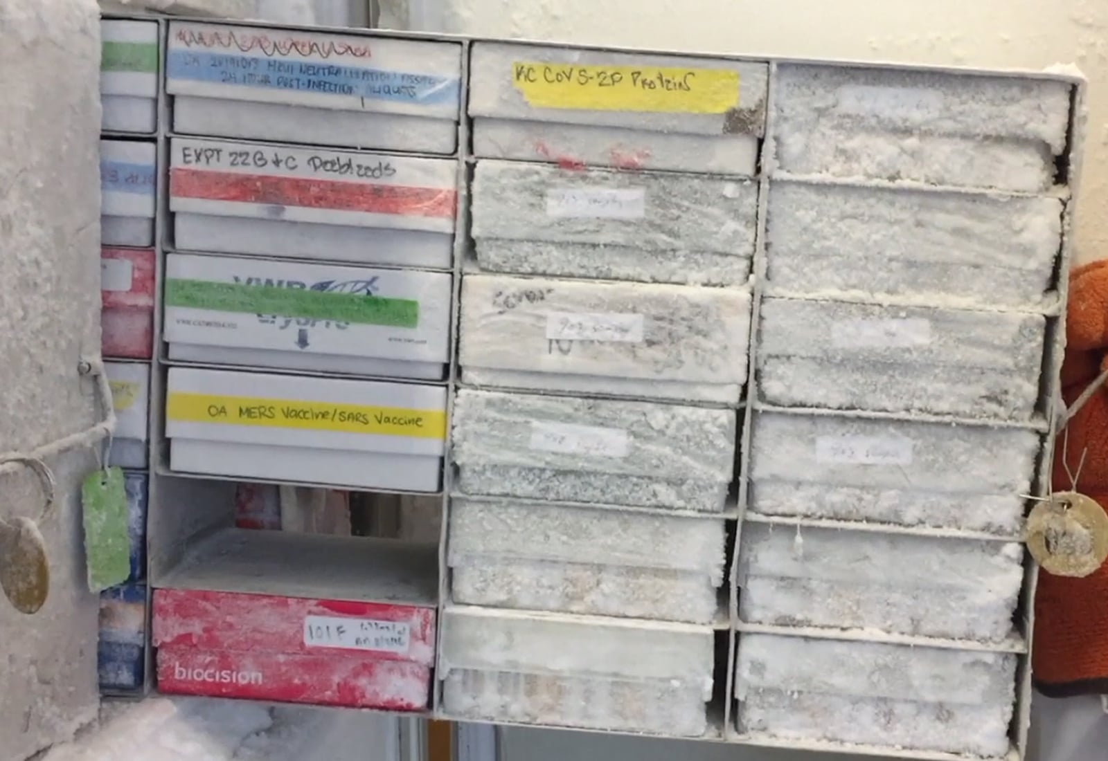 Vials of mRNA vaccine stored in a NIAID laboratory freezer
