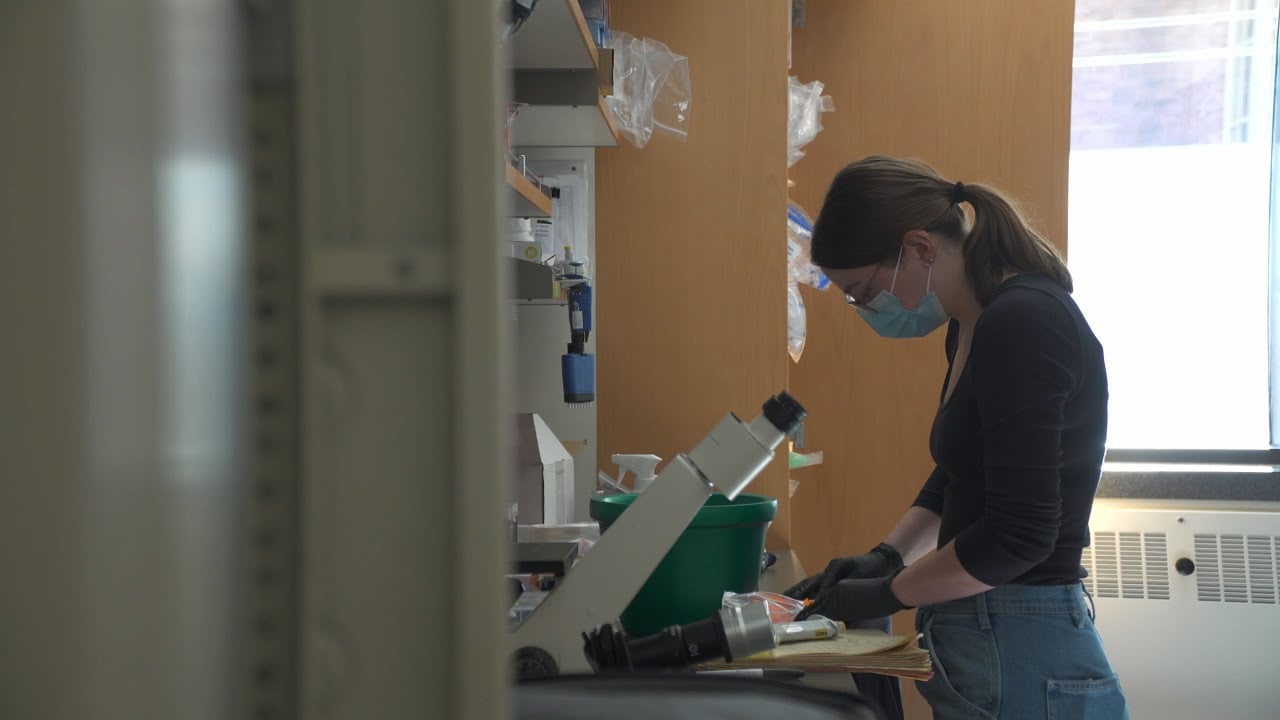 University of Colorado Boulder researchers working on the ARPA-H NITRO-funded single injection therapy to reverse osteoarthritis