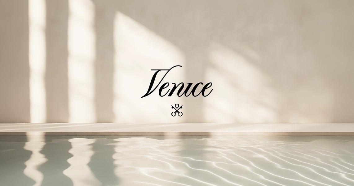 Venice AI privacy-first artificial intelligence platform unicorn $1 billion valuation