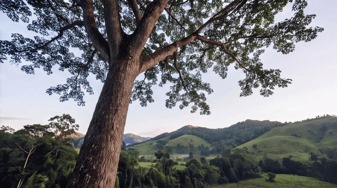 From Undervalued Land to Natural Assets: Building a New Kind of Development Company