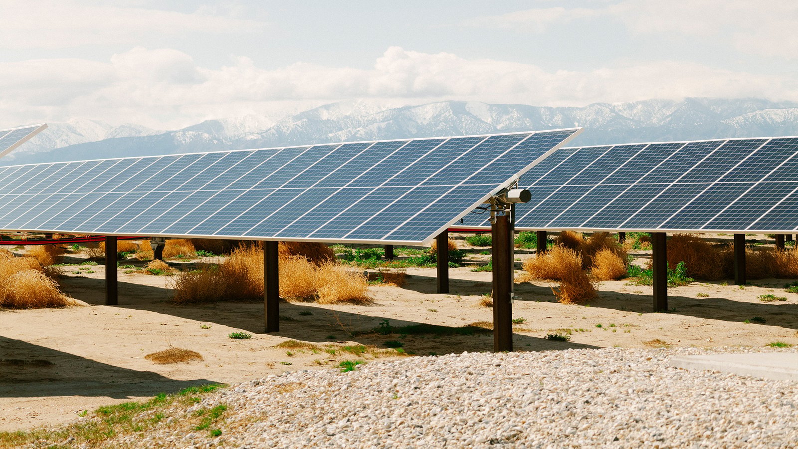 Large-scale solar farm from Amazon's renewable energy portfolio showing contrast with its Texas natural gas plant plans