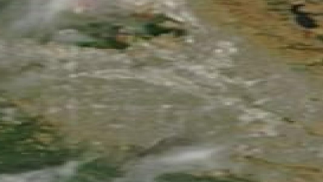 NASA MODIS satellite image of San Jose Silicon Valley area, Broadcom headquarters, June 2023